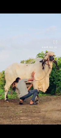 થંબનેલ 3