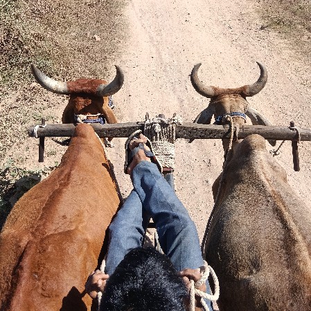 થંબનેલ 3