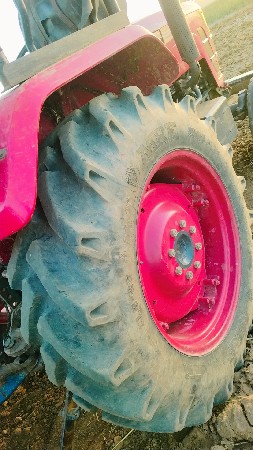 थंबनेल 2