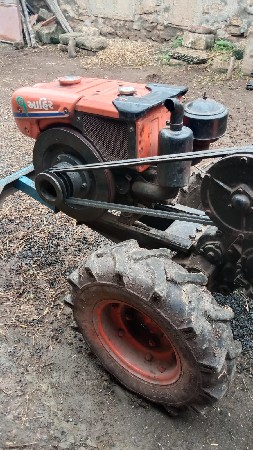 શીંગડા વારુ કબુટા