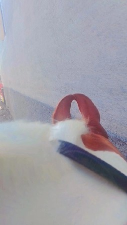 થોડી દેવાની છે ખબર છે આઠ મહિના