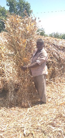 બારતની સાર વેચવાની છે