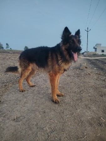 થંબનેલ 2