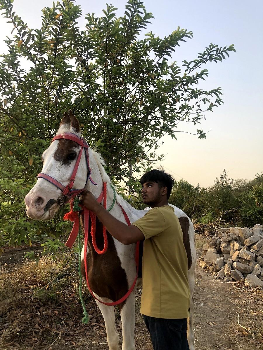 थंबनेल 2