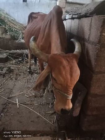 थंबनेल 2