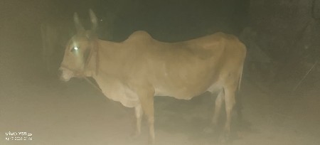 थंबनेल 2