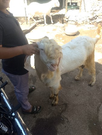 થંબનેલ 2