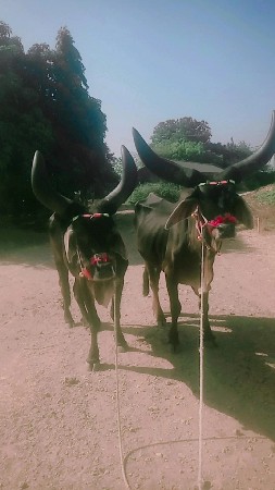 હિંમત 30000