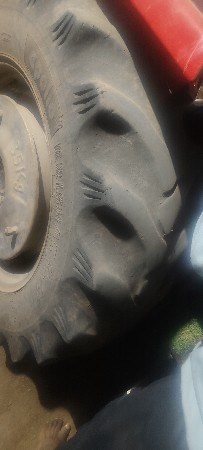 થંબનેલ 2