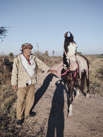 ઘોડી વેચવાની છે કાળી