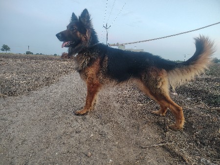 थंबनेल 3