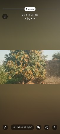 વેચવાની છે