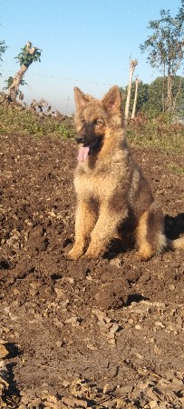 જન્મ સફર ફિમેલ વેચવાની છે