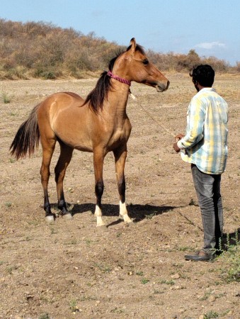 थंबनेल 2