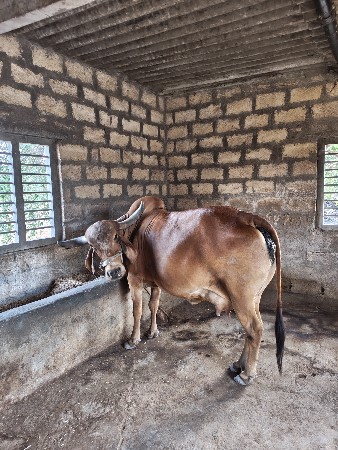 थंबनेल 2