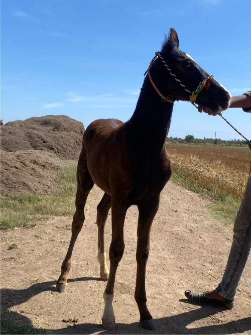 थंबनेल 2