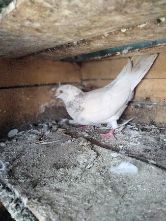 थंबनेल 3