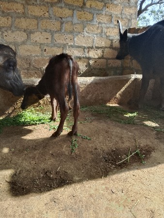 थंबनेल 2