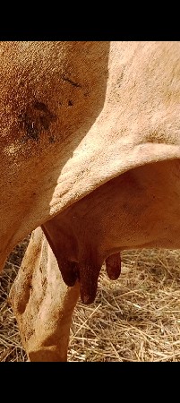 9723197610 ફોન કરો વ્યવહાર