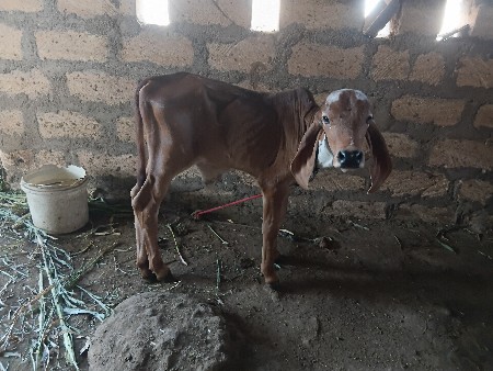 थंबनेल 2