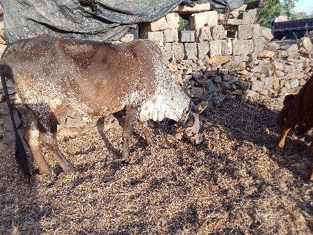 थंबनेल 3