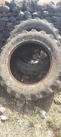 થંબનેલ 2