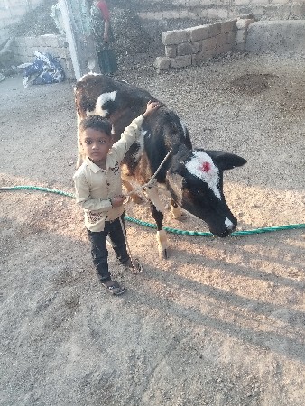 થંબનેલ 3