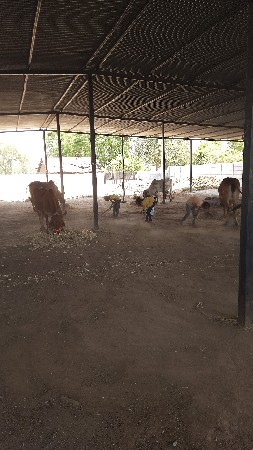 थंबनेल 2