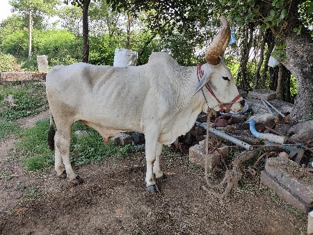 थंबनेल 3