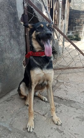 થંબનેલ 3