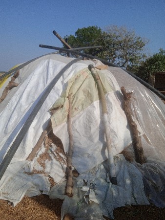 માંડવી નો ભૂકો પલળ્યા વગર નો.