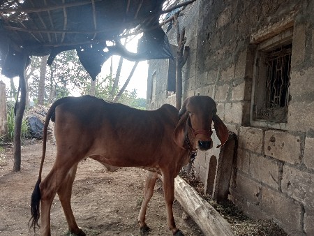 थंबनेल 2