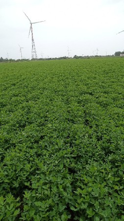 jamin dhagma  aapvani se