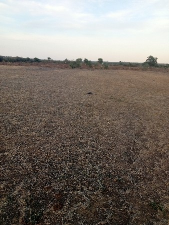 ખેતીની જમીન વેચવાની છે