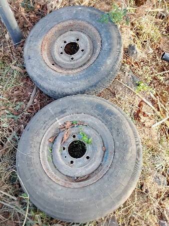 થંબનેલ 2