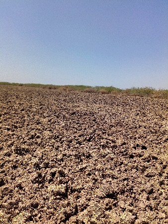 આ જમીન વેચવાની છે