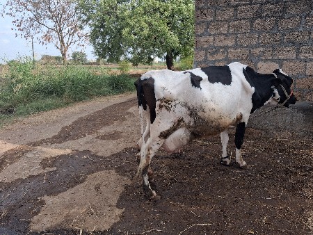 थंबनेल 1