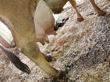 થંબનેલ 3