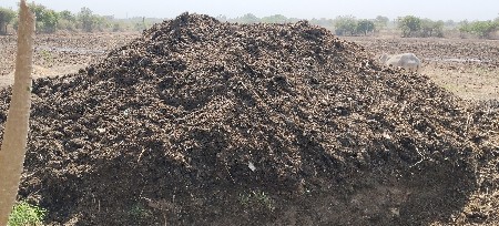 છાણીયું ખાતર વેચવાનું છે