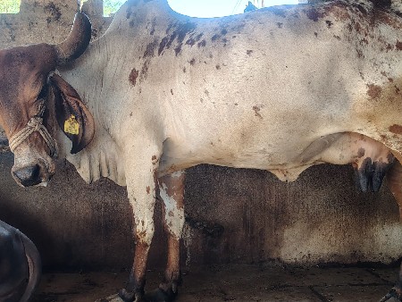 थंबनेल 3