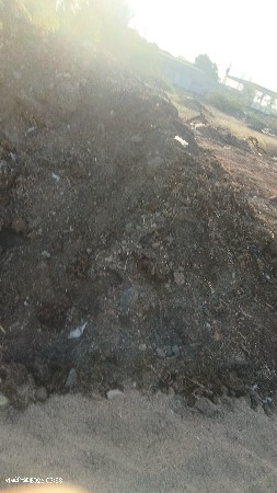 ભેંસ નું ચોખ્ખું ખાતર