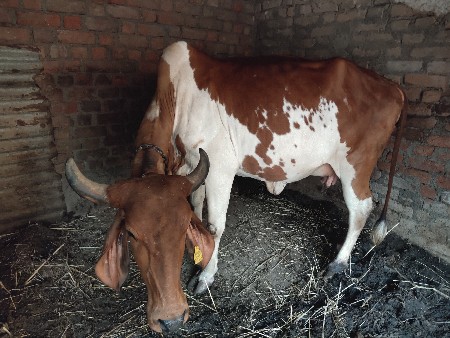 थंबनेल 2