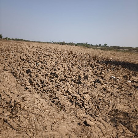 10 વીઘા જમીન છે