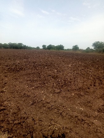 જમીને વેચવાની છે ખેતીલાયક