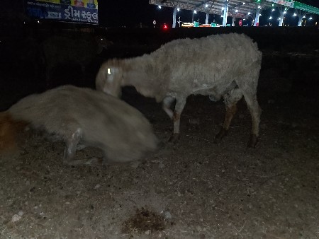 થંબનેલ 2