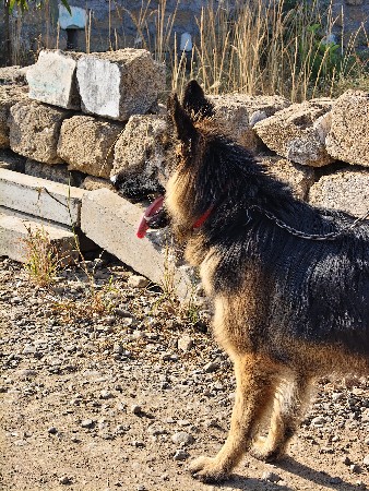 थंबनेल 3