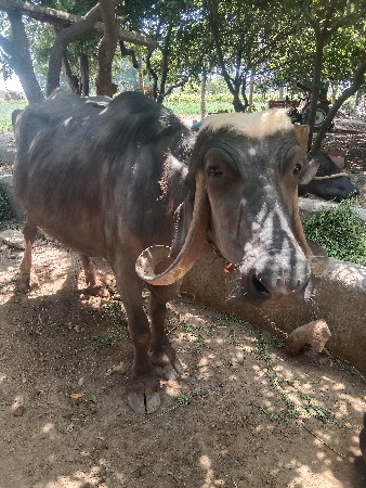 थंबनेल 2