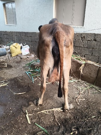 थंबनेल 2