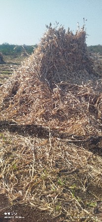 થંબનેલ 1