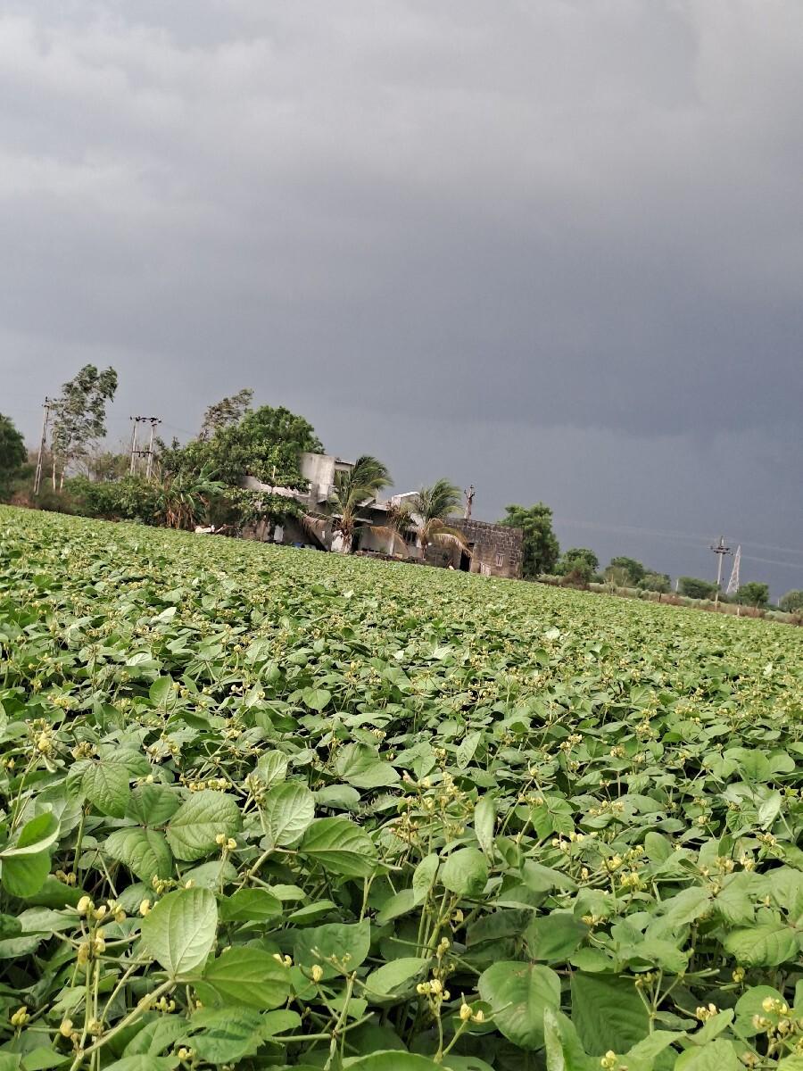 જમીન વેચવાની છે